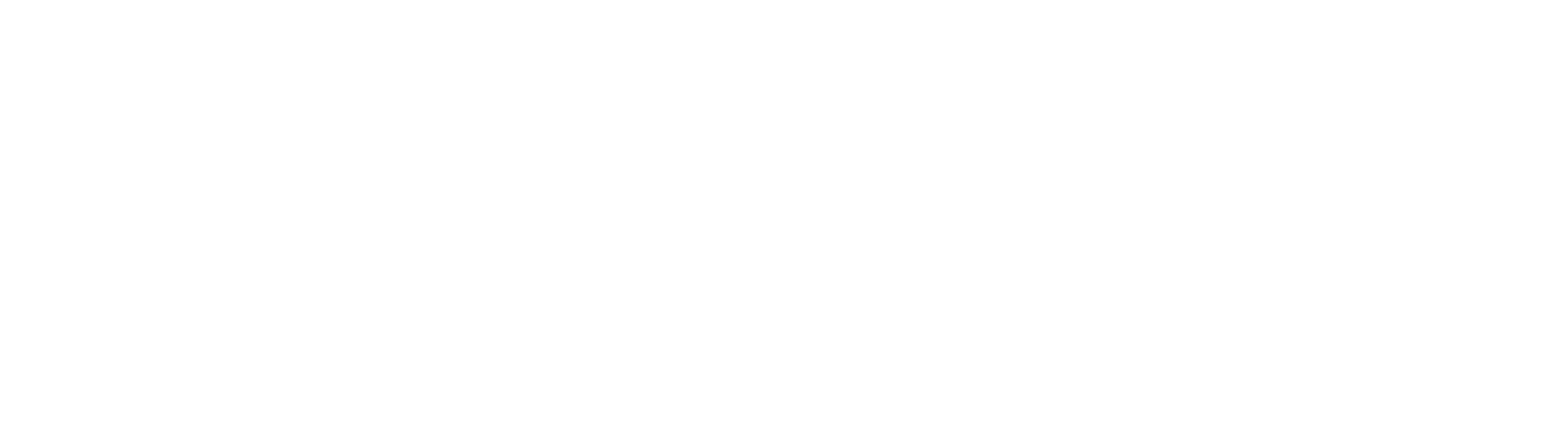 VizaliWorksLogo_WhiteColor_Horizontal